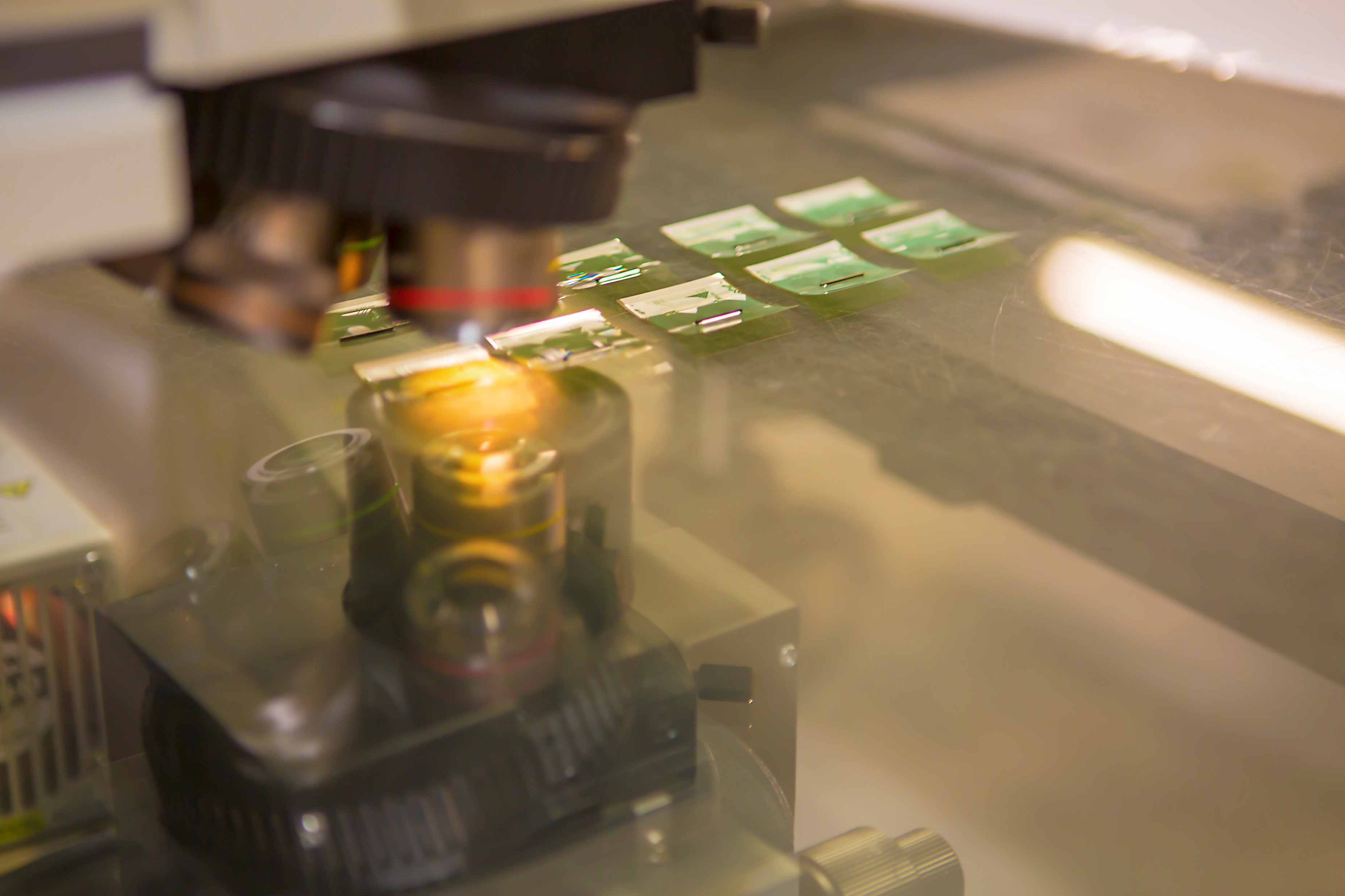 Semiconductor chip inspection