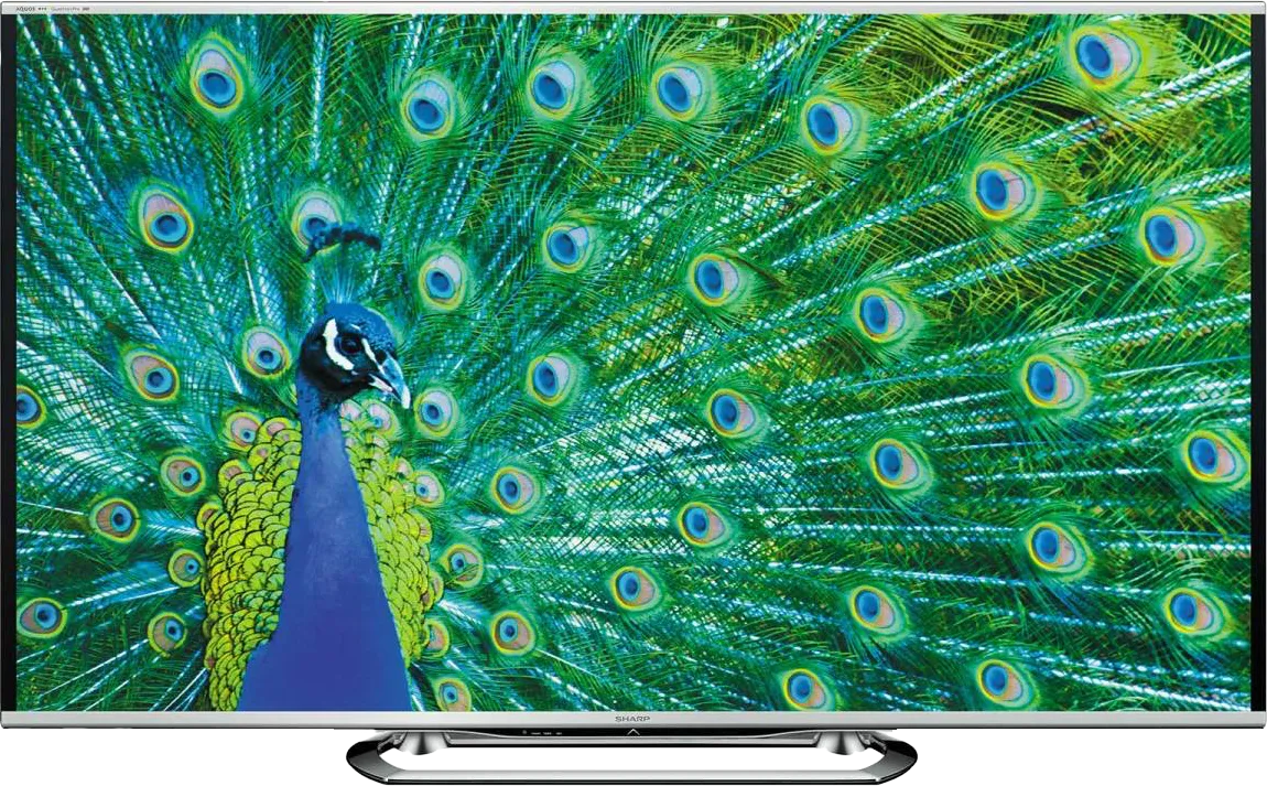 Sharp QLED TV displaying vivid peacock image